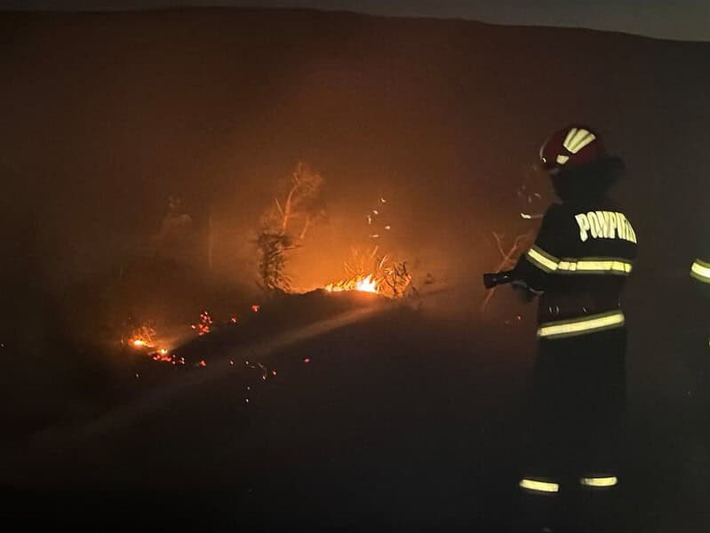 Al doilea incendiu al serii în Tulcea. Flăcările amenință casele la Somova / foto-video