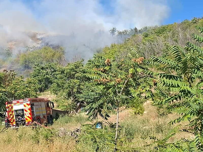 Incendiu lângă Greci: focul a ajuns în pădure și a amenințat case și saivane