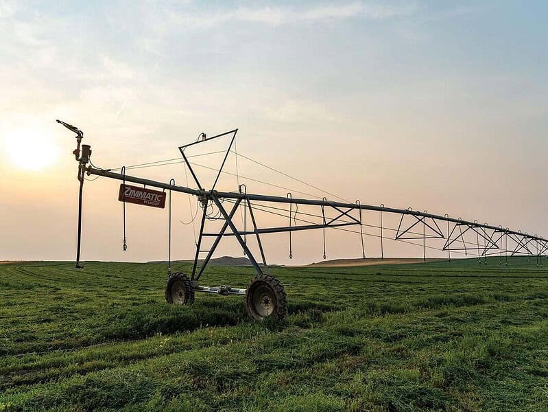 55 de metri de cablu, 120 de lei și ani de pușcărie la I.C. Brătianu