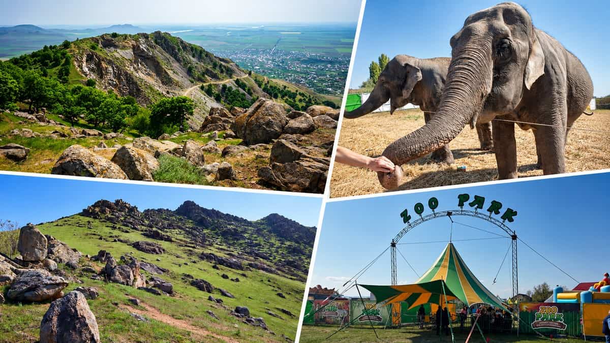 Ce poți face într-o zi în Tulcea: Zoo Park, Iacobdeal și Munții Măcinului