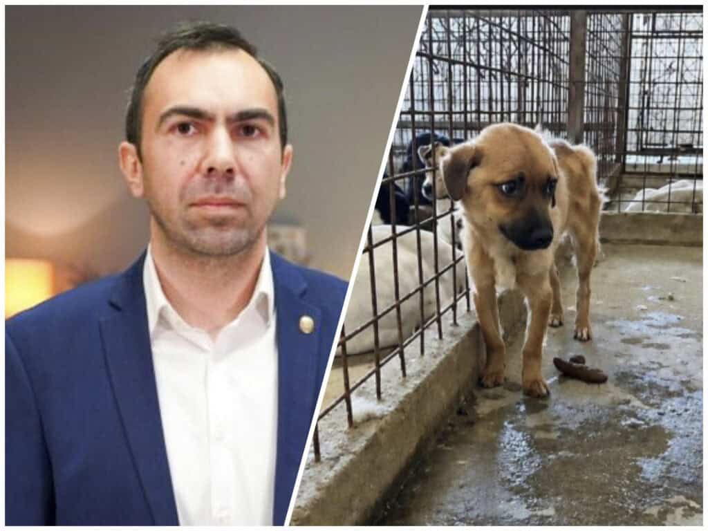 colaj terente daeni edited Scandalul de la Dăeni ajunge la DNA! Prefectul suspectează abuzuri în instituții